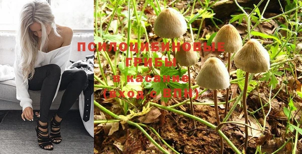 мет Горнозаводск