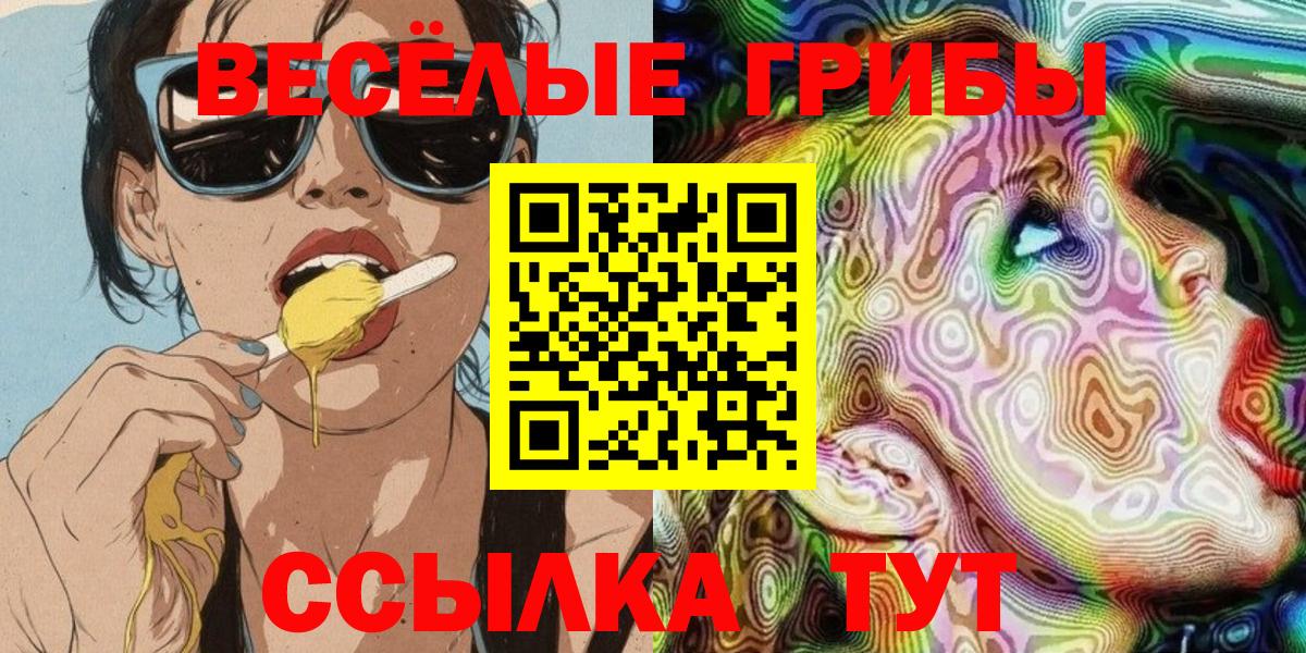 сколько стоит  Галлюциногенные грибы Cubensis  Вход с VPN  Геленджик 