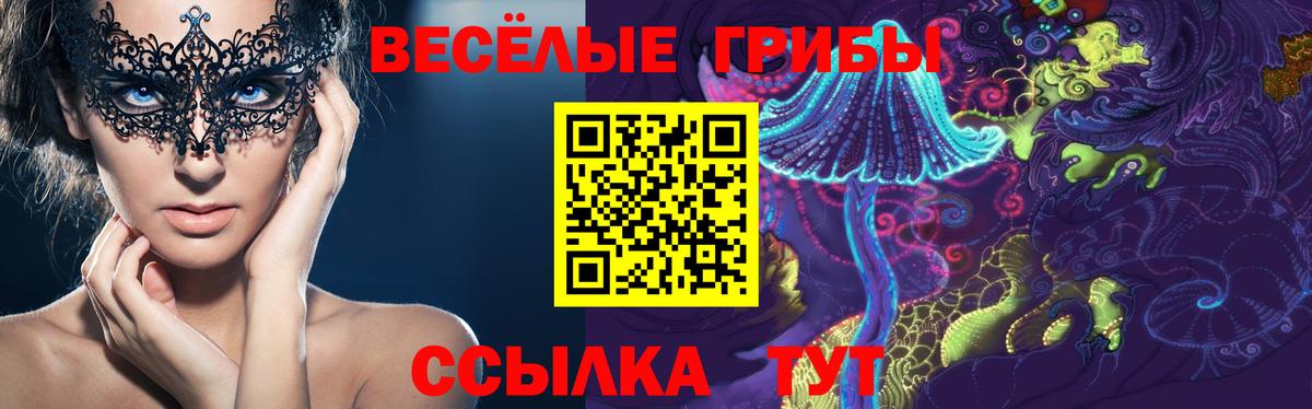 Галлюциногенные грибы мухоморы Геленджик