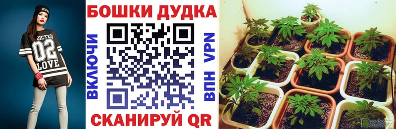 магазин наркотиков мориарти Telegram Бошки марихуана White Widow Геленджик